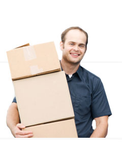 Image of Removal Services